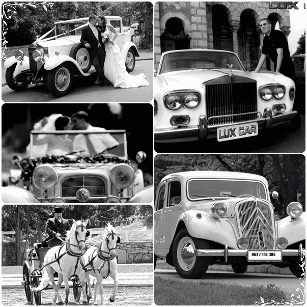 Oldtajmeri na iznajmljivanje, Lux Car Limuzine Beograd, iznajmljivanje oldtajmer limuzina beograd, limo oldtajmer servis beograd, limo oldtimer service belgrade serbia, limo oldtajmer beograd, iznajmljivanje oldtajmera za mladence, iznajmljivanje oldtajmer limuzina za mladence, oldtajmeri za mladence, stari automobili za mladence, citroen oldtajmer za svadbe, oldtajmeri za svadbe, oldtajmeri za vencanja, iznajmljivanje oldtajmera za vencanja, oldtajmeri beograd srbija, citroen oldtajmer beograd, jaguar oldtajmer limuzina beograd, rols rojs oldtajmer beograd, mercedes oldtajmer limuzina beograd, najbolja google ponuda oldtajmera u srbiji, citroen limo servis, oldtajmer limuzine za mladence, iznajmljivanje limuzina za svadbe, oldtimer for rent belgrade serbia, oldtajmeri za svadbena veselja, ekskluzivni oldtajmeri na rentiranje, limo belgrade, limo rent belgrade, rent limousine in belgrade serbia, limousine for rent in belgrade serbia, limuzine beograd, oldtajmeri beograd, iznajmljivanje limuzina za vencanje, iznajmljivanje limuzine za vencanje, limuzine za vencanja beograd, iznajmljivanje limuzine za svadbe beograd, iznajmljivanje oldtajmera beograd, iznajmljivanje luksuznih limuzina, Iznajmljivanje i prodaja limuzina Iznajmljivanje kabriolet limuzina Beograd Srbija Kadilak Bjuik Mercedes kabriolet Jaguar kabriolet  Iznajmljivanje Jaguar limuzina Beograd i Srbija Jaguar limo for rent Belgrade Serbia Iznajmljivanje oldtajmera Beograd Srbija oldtajmeri Citroen atraction 1930 - 1936 Mercedes limuzina iz Titovog voznog parka Titova limuzina na rentiranje Kadilak limuzina za mladence Beograd Cadillac limo Lincoln limo Belgrade Serbia Linkoln limuzina Beograd Srbija Hamer  limuzina Beograd Srbija  Audi limuzine na iznajmljivanje u prodaju  Najzanimljiviji automobil limuzina za svadbu Specijalni automobili za svadbe  Limuzine za mladence, fijakeri beograd, kocije beograd, iznajmljivanje fijakera i kocija srbija beograd, iznajmljivanje i prodaja helikoptera helikopteri beograd srbija, helicopter for rent in serbia, airplanes renting in serbia, karaoke iznajmljivanje beograd, muzika bendovi za svadbe i slavlja, jahte, gliseri, avioni, bendovi, zvezde estrade, organizacija svecanosti, lux car, limuzine, iznajmljivanje limuzina novi sad, limo rent, belgrade limo, limousines belgrade, limuzine srbija, limuzine beograd, oldtajmeri, iznajmljivanje fijakeri beograd, rentiranje kocije beograd, rasni konji i kocije beograd, iznajmljivanje helikoptera i aviona, helikopteri, jahte beograd, iznajmljivanje jahti u beogradu, izjamljivanje brodova u beogradu, krstarenje savom i dunavom beograd, iznajmljivanje aviona beograd, muzicki bendovi beograd, zvezde estrade menadzer angazovanje zvezda estrade, organizacija svecanosti, prodaja limuzina