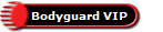 Bodyguard VIP