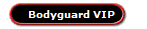 Bodyguard VIP